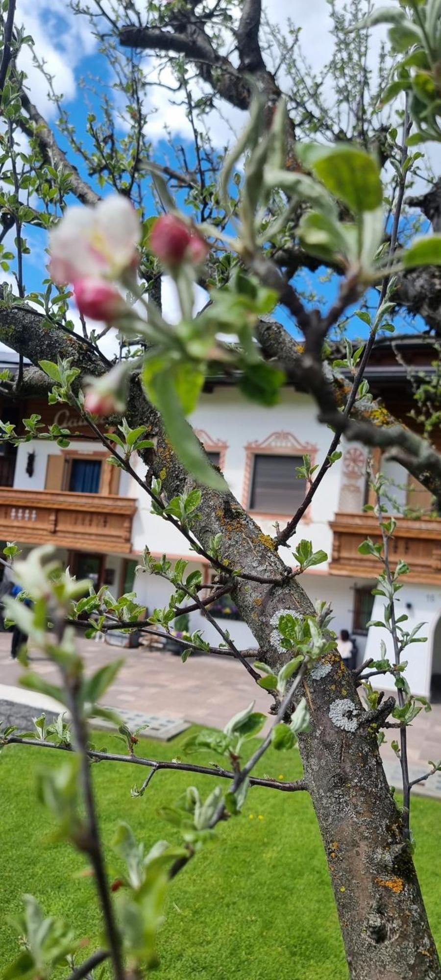 B&B Ciauceia Сельва-ди-Валь-Гардена Экстерьер фото
